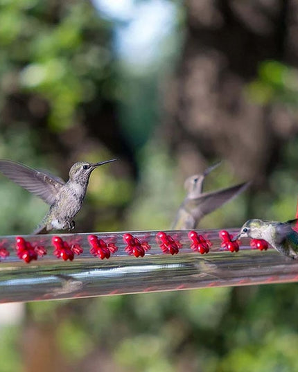 Flower Bar Hummingbird Feeder