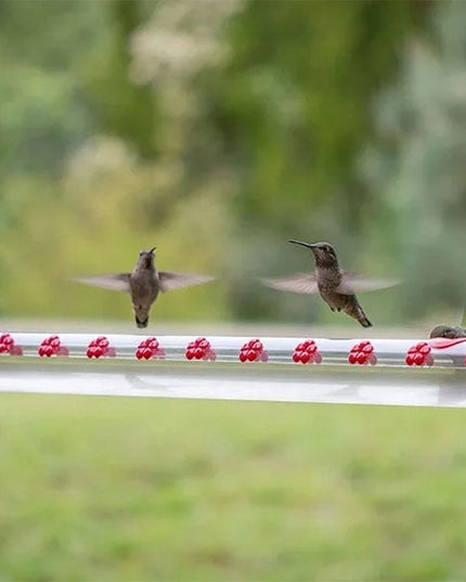 Flower Bar Hummingbird Feeder
