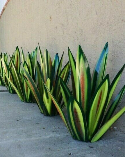 Anti-rust Metal Tequila Agave Plant - Libiyi