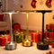 Lighting & Accessories