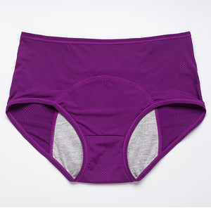 Rechol Leakproof Underwear - Libiyi