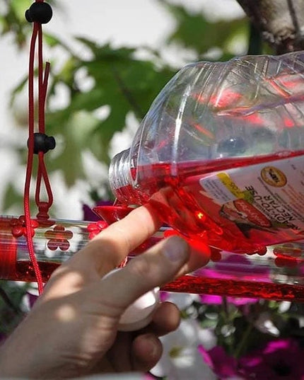 Flower Bar Hummingbird Feeder