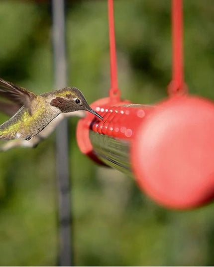 Flower Bar Hummingbird Feeder