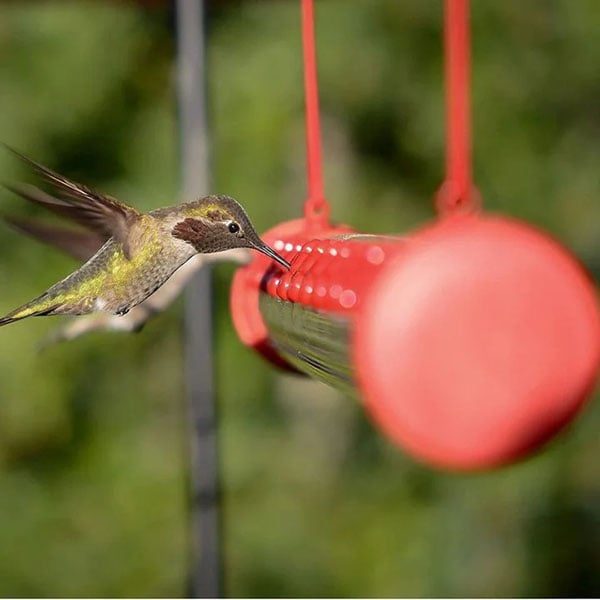 Flower Bar Hummingbird Feeder - Libiyi