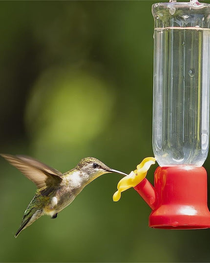 🔥Annual Offer - New Leak-Proof Design Hummingbird Feeder (4 Pack)