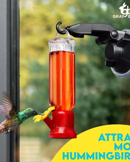 🔥Annual Offer - New Leak-Proof Design Hummingbird Feeder (4 Pack)