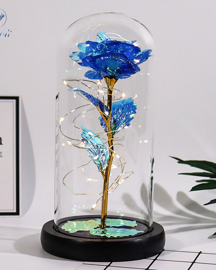 Fanyil Eternal Rose-fr - Libiyi