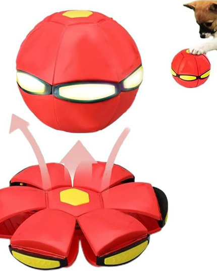 Outfany Doggy Delight Disc # - Libiyi