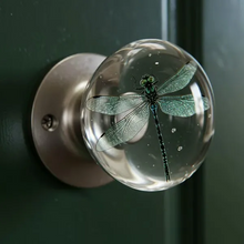 Carregar imagem no visualizador da galeria, Libiyi NatureNest Crystal Knob - Libiyi