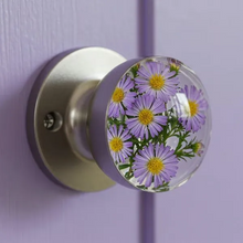 Carregar imagem no visualizador da galeria, Libiyi NatureNest Crystal Knob - Libiyi