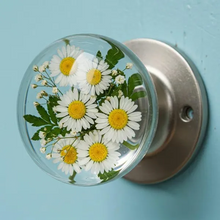 Carregar imagem no visualizador da galeria, Libiyi NatureNest Crystal Knob - Libiyi