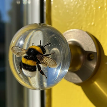 Carregar imagem no visualizador da galeria, Libiyi NatureNest Crystal Knob - Libiyi
