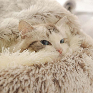 Libiyi CozyPaws - Libiyi